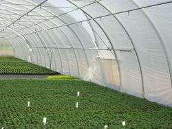 T.i.G Gewächshausbau GmbH Bewässerung